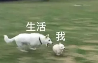 無限達(dá)夏季給旋挖機手送清涼6.png